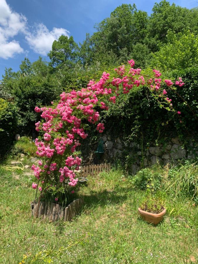 La Moutiere Maison De Vacances Castellane Eksteriør billede